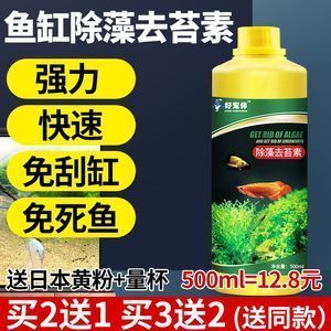 時光小舍 一方花木，妝點生活的小確幸